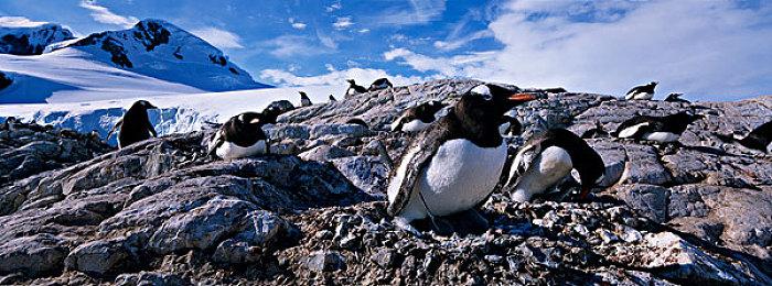 《夜街酷斗》科隆新实机公开 动作RPG新游