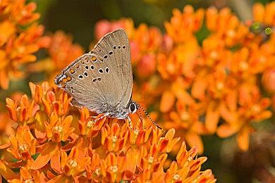 《星之海洋6》发售时支持简中 游戏&角色介绍公布